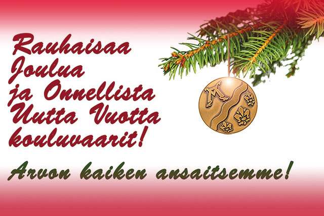 vapaaehtoisty&ouml;t&auml; kouluissa